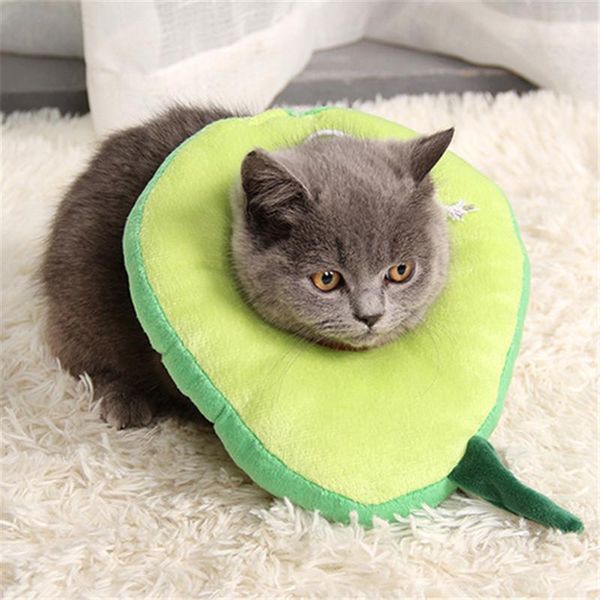 dog collars & leashes adjustable soft cotton elizabeth cat collar bread shape anti-licking pet recovery fruit ring for dogs and cats
dog collars & leashes adjustable soft cotton elizabeth cat collar bread shape anti-licking pet recovery fruit ring for dogs and cats