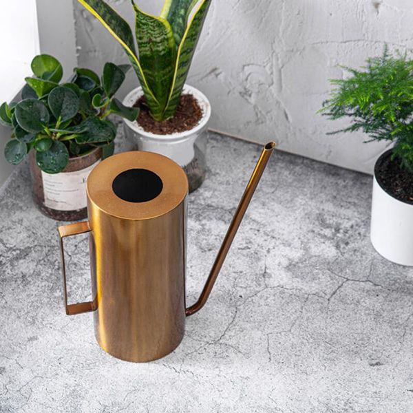 watering equipments retro stainless water can long spout flower plant for house office patio plants easy-to-clean kids gifts
watering equipments retro stainless water can long spout flower plant for house office patio plants easy-to-clean kids gifts