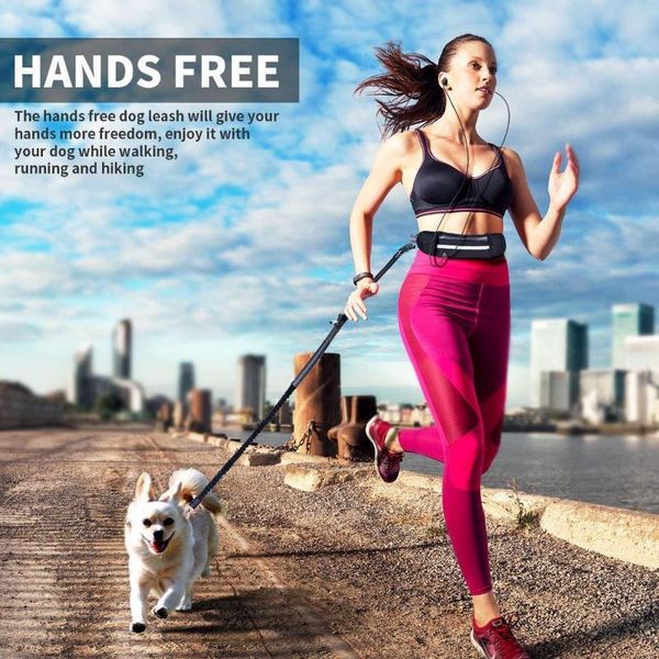 dog collars & leashes tfbc hands running leash with waist pocket adjustable belt absorbing bungee fits up to 45 inch
dog collars & leashes tfbc hands running leash with waist pocket adjustable belt absorbing bungee fits up to 45 inch