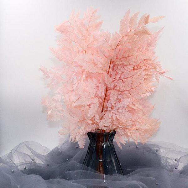 decorative flowers & wreaths natural fresh preserved fiddlehead ferns,eternal dried flower leaves for wedding party home decoration accessor
decorative flowers & wreaths natural fresh preserved fiddlehead ferns,eternal dried flower leaves for wedding party home decoration accessor