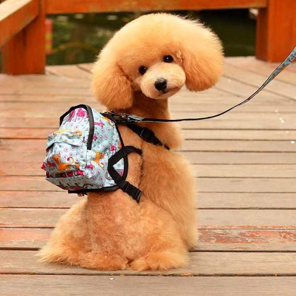 dog car seat covers pet cat backpack with harness leash small school bag outdoor training walking portable
dog car seat covers pet cat backpack with harness leash small school bag outdoor training walking portable