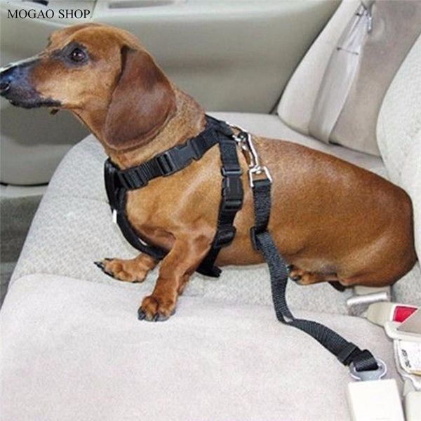 dog car seat covers pet supplies safety belt harness restraint lead leash travel clip
dog car seat covers pet supplies safety belt harness restraint lead leash travel clip