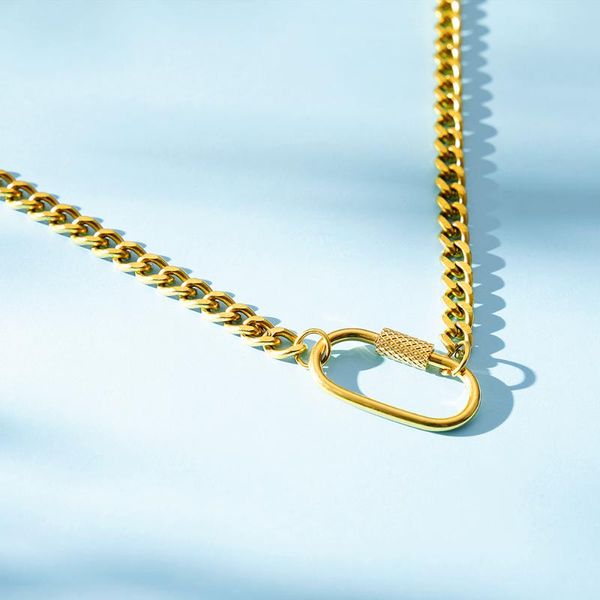 chains stainless steel carabiner necklace for women gold/silver color metal spiral buckle choker kette collier women's neck chain
chains stainless steel carabiner necklace for women gold/silver color metal spiral buckle choker kette collier women's neck chain