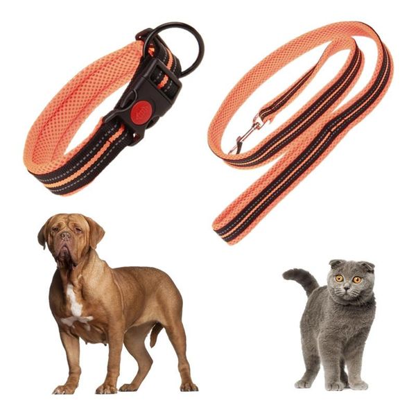 dog collars & leashes sandwich mesh fabrics collar for dogs pets 120*3cm leash cat puppy rope harnesses belt small
dog collars & leashes sandwich mesh fabrics collar for dogs pets 120*3cm leash cat puppy rope harnesses belt small