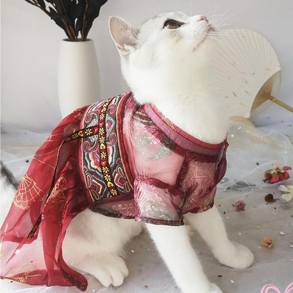 cat costumes lovely sweet ancient chinese pet hanfu outfit dress dog clothes supplies product kitten
cat costumes lovely sweet ancient chinese pet hanfu outfit dress dog clothes supplies product kitten