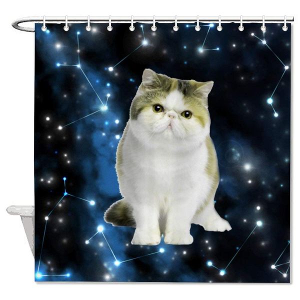 whiskers sky light carnivore snout star american wirehair bath decorative shower curtain bathroom accessories,water proof
whiskers sky light carnivore snout star american wirehair bath decorative shower curtain bathroom accessories,water proof