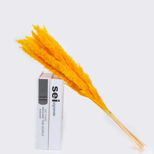 decoracion hogar moderno 15pcs small reed pampas grass decoración home decor artificial flowers decorative & wreaths
decoracion hogar moderno 15pcs small reed pampas grass decoración home decor artificial flowers decorative & wreaths