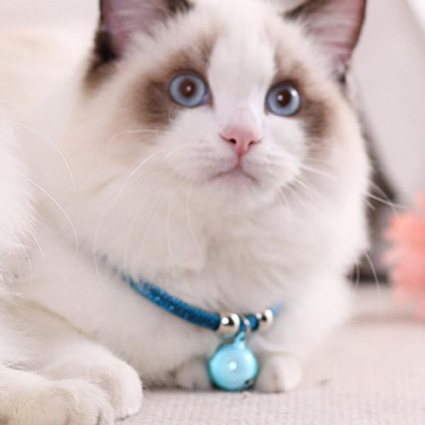 cat collars & leads pet collar cute japanese style with bells adjustable nylon for small dogs kitten cats
cat collars & leads pet collar cute japanese style with bells adjustable nylon for small dogs kitten cats