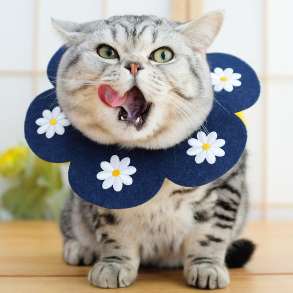 sun flower shape cat puppy neck protective circle collar anti bite grasping licking elizabethan cute collars & leads
sun flower shape cat puppy neck protective circle collar anti bite grasping licking elizabethan cute collars & leads