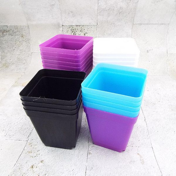 planters & pots 4 color 7cm mini plastic flower grow nursery baskets square cup succulent gardening planting for plant seed veg s1
planters & pots 4 color 7cm mini plastic flower grow nursery baskets square cup succulent gardening planting for plant seed veg s1