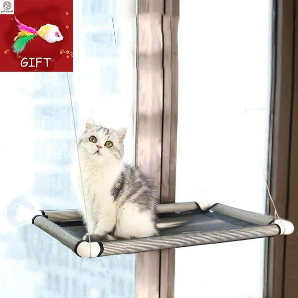 cat beds & furniture window perch hammock mounted bed cooling breathable canvas suction cups sunbath for cats dogs house
cat beds & furniture window perch hammock mounted bed cooling breathable canvas suction cups sunbath for cats dogs house
