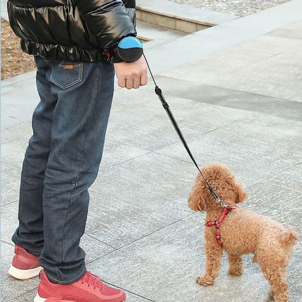 dog collars & leashes retractable leash extendable puppy running wrist belt strap hands-free
dog collars & leashes retractable leash extendable puppy running wrist belt strap hands-free