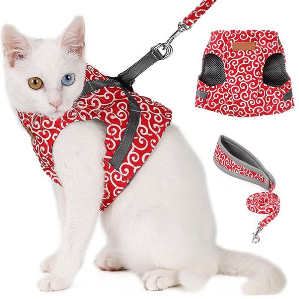 cat collars & leads pet dog harness leash set collar outdoor walking vest small and for
cat collars & leads pet dog harness leash set collar outdoor walking vest small and for