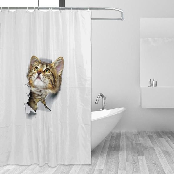 shower curtains usa shorthair bathing bathroom curtain cats lover gift waterproof polyester fabric bath
shower curtains usa shorthair bathing bathroom curtain cats lover gift waterproof polyester fabric bath