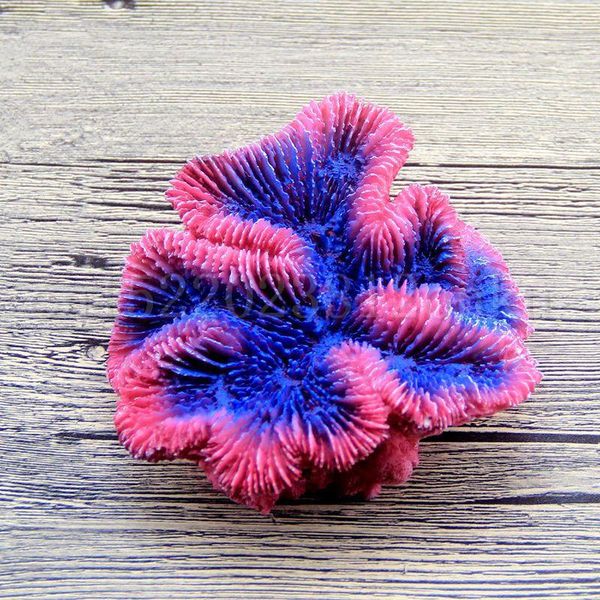 decorations fashion aquarium plants ornaments fish tank artificial plant water grass decor decoration coral
decorations fashion aquarium plants ornaments fish tank artificial plant water grass decor decoration coral