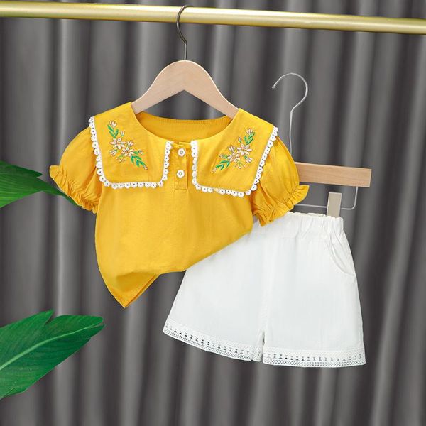 clothing sets baby girl outfit toddler girls summer fashion flower embroidery sweet lace lapel short sleeve shorts 2-piece set, White
clothing sets baby girl outfit toddler girls summer fashion flower embroidery sweet lace lapel short sleeve shorts 2-piece set, White