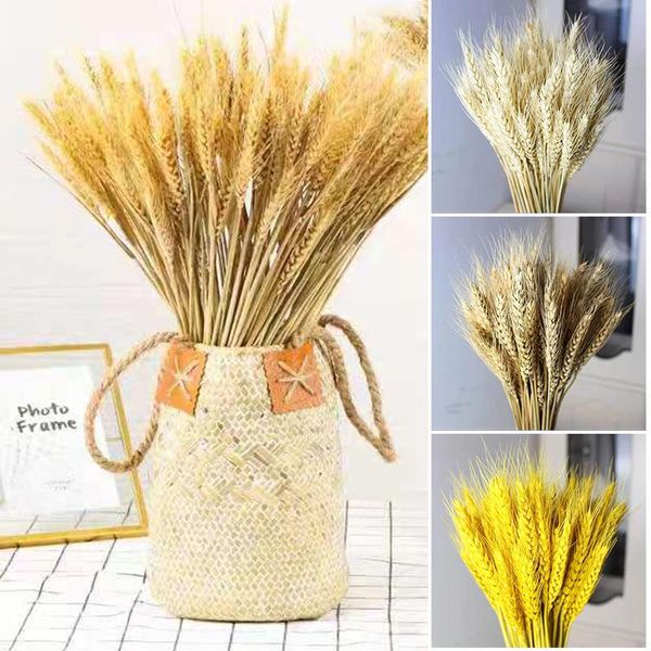 decorative flowers & wreaths 100pcs dried wheats bunch symbolize the prosperity life living room garden wedding el decoration artificial pla
decorative flowers & wreaths 100pcs dried wheats bunch symbolize the prosperity life living room garden wedding el decoration artificial pla