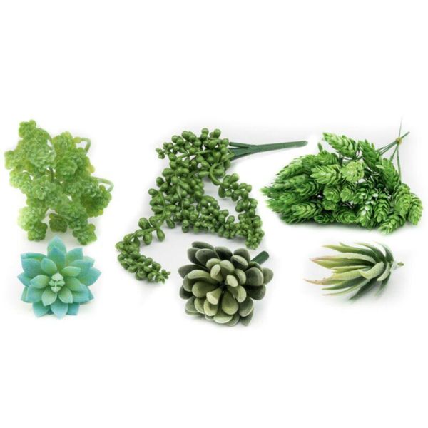 outdoor succulent plants garden realistic lifelike arrangement wedding decorative flowers & wreaths
outdoor succulent plants garden realistic lifelike arrangement wedding decorative flowers & wreaths
