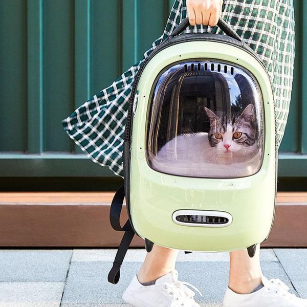 cat carriers,crates & houses 400 bag out portable space pet backpack transparent breathable supplies
cat carriers,crates & houses 400 bag out portable space pet backpack transparent breathable supplies
