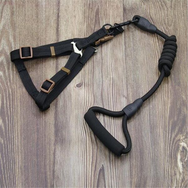 classic combination dog leash nylon pet for & cat running or training collar and harness collars leashes
classic combination dog leash nylon pet for & cat running or training collar and harness collars leashes