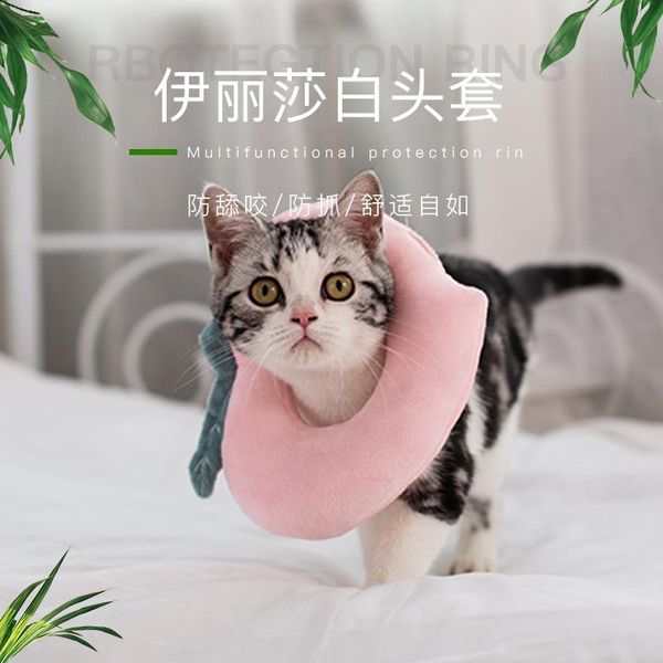 dog collars & leashes cat collar avocado toast ring elizabeth pet cotton headgear anti-licking shame
dog collars & leashes cat collar avocado toast ring elizabeth pet cotton headgear anti-licking shame