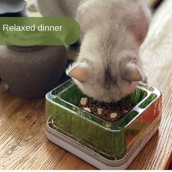 cat bowls transparent single bowl multifunction planting especially feeder anti-tipping accessories supplies & feeders
cat bowls transparent single bowl multifunction planting especially feeder anti-tipping accessories supplies & feeders