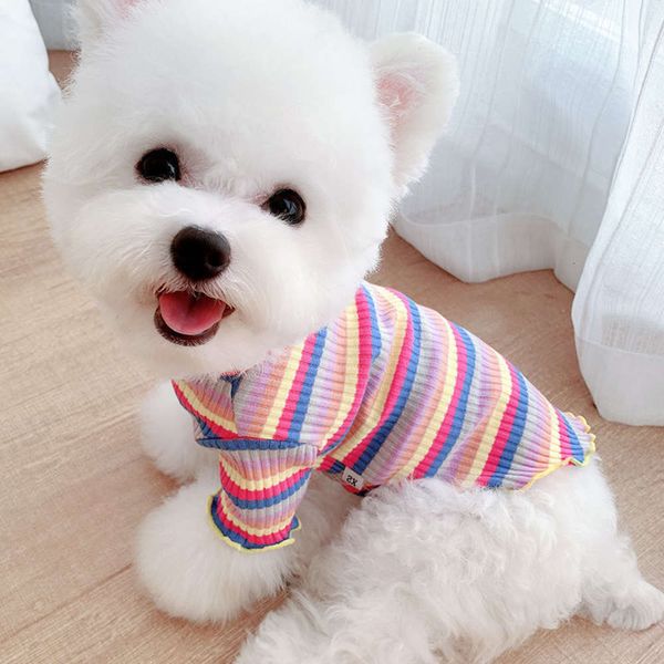 the dog clothes teddy dog autumn bottom coat thin pet clothing spring and summer cat
the dog clothes teddy dog autumn bottom coat thin pet clothing spring and summer cat