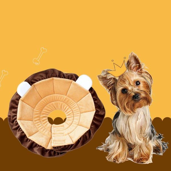 pet cat recovery collar dog anti bite lick cone elizabethan wound heal collars & leads
pet cat recovery collar dog anti bite lick cone elizabethan wound heal collars & leads