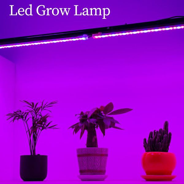 grow lights led light 5v 2a dimmable usb phytolamp for plants full spectrum phyto lamp box greenhouse indoor flower seeds
grow lights led light 5v 2a dimmable usb phytolamp for plants full spectrum phyto lamp box greenhouse indoor flower seeds