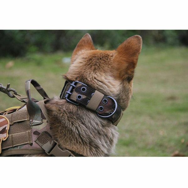 dog collars & leashes military tactical adjustable training collar nylon leash m-xl.
dog collars & leashes military tactical adjustable training collar nylon leash m-xl.