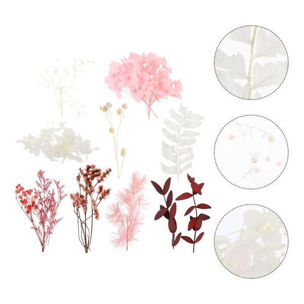 decorative flowers & wreaths 1 set diy handcrafts making materials scented dried flower
decorative flowers & wreaths 1 set diy handcrafts making materials scented dried flower