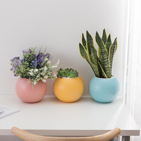 planters & pots round automatic water absorption self-watering flowerpot hydroponic flower pot creative succulent plant pet blow bottle
planters & pots round automatic water absorption self-watering flowerpot hydroponic flower pot creative succulent plant pet blow bottle