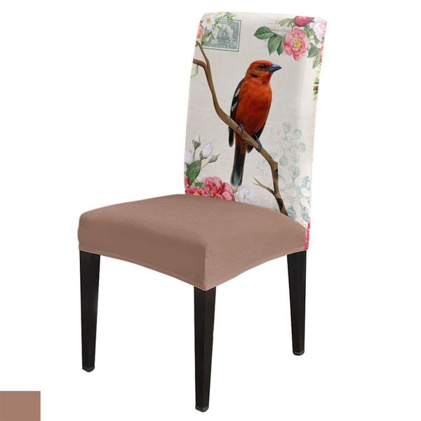 chair covers vintage flowers and birds dining room spandex elastic for wedding el banquet
chair covers vintage flowers and birds dining room spandex elastic for wedding el banquet