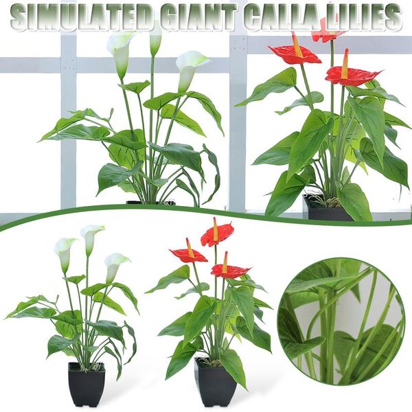 decorative flowers & wreaths artificial anthurium green red plastic fake plants home garden living room bedroom decoration #36
decorative flowers & wreaths artificial anthurium green red plastic fake plants home garden living room bedroom decoration #36