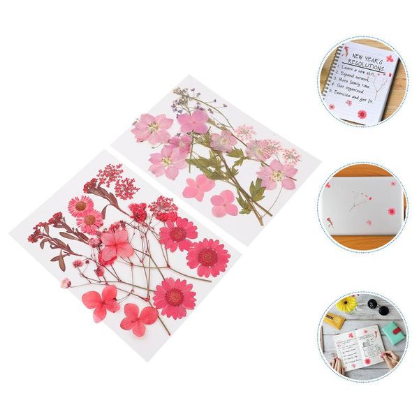 decorative flowers & wreaths 2 sets dried press floral dry flower and leaf real for diy craft
decorative flowers & wreaths 2 sets dried press floral dry flower and leaf real for diy craft