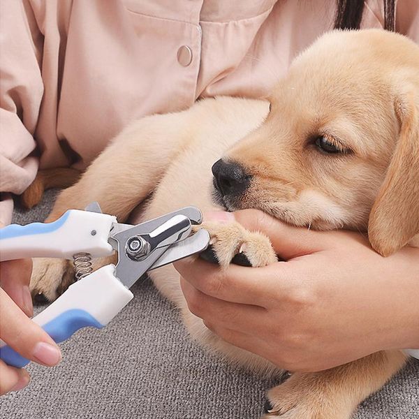 dog grooming pet nail clipper scissors cat toe claw clippers trimmer tools for animals supplies
dog grooming pet nail clipper scissors cat toe claw clippers trimmer tools for animals supplies