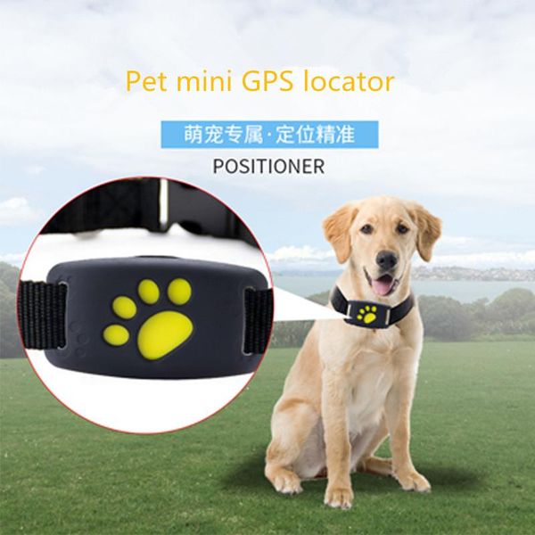 mini cat dog pet necklace gps tracker locator wireless intelligent anti-lost ip67 waterproof app alarm
mini cat dog pet necklace gps tracker locator wireless intelligent anti-lost ip67 waterproof app alarm