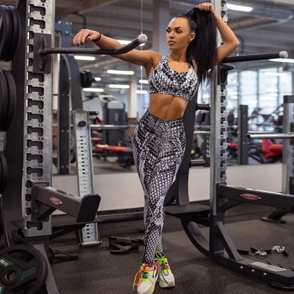 yoga outfit gxqil snake print sport set women gym workout clothes sportswear suit for fitness leggings active wear 2021
yoga outfit gxqil snake print sport set women gym workout clothes sportswear suit for fitness leggings active wear 2021