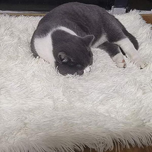 pets sleeping mat dual-use plush fluffy warm mattress cushion pad for dogs cat machine washable d6 kennels & pens
pets sleeping mat dual-use plush fluffy warm mattress cushion pad for dogs cat machine washable d6 kennels & pens