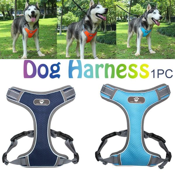 dog collars & leashes adjustable durable with reflective strips safe no pull training harness
dog collars & leashes adjustable durable with reflective strips safe no pull training harness