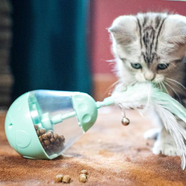 cat toys pet dog fun bowl feeding training exercise interactive toy tumbler leakage food ball supplies
cat toys pet dog fun bowl feeding training exercise interactive toy tumbler leakage food ball supplies