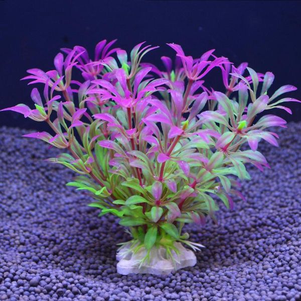 simulation plastic aquatic plants decoration fish tank bonsai ornaments aquarium supplies decorations
simulation plastic aquatic plants decoration fish tank bonsai ornaments aquarium supplies decorations