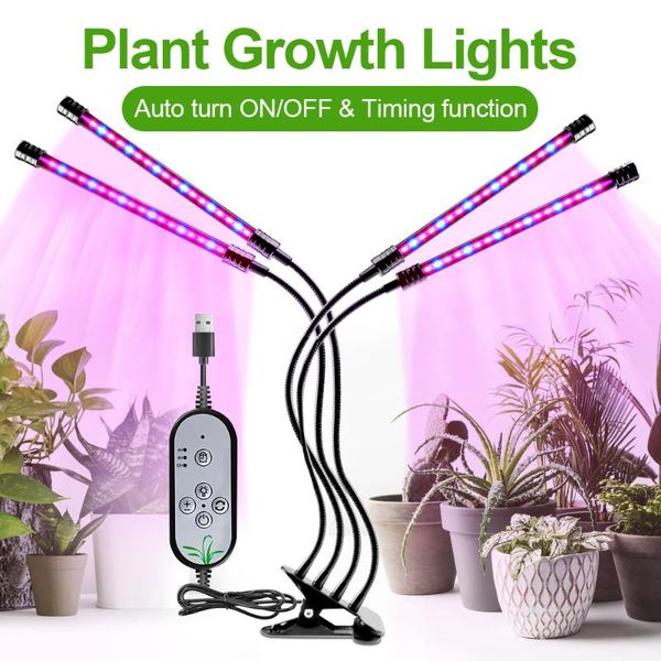 grow lights goodland led light full spectrum fitolampy usb phyto lamp phytolamp for plants seedlings fitolamp flower tent box indoor
grow lights goodland led light full spectrum fitolampy usb phyto lamp phytolamp for plants seedlings fitolamp flower tent box indoor