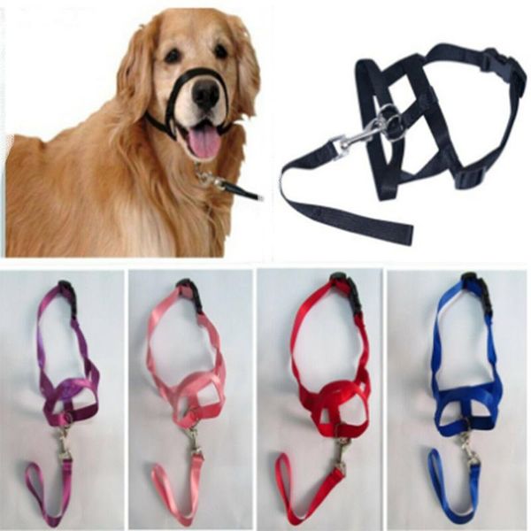 dog collars & leashes halter training head collar gentle leader harness nylon colorful
dog collars & leashes halter training head collar gentle leader harness nylon colorful