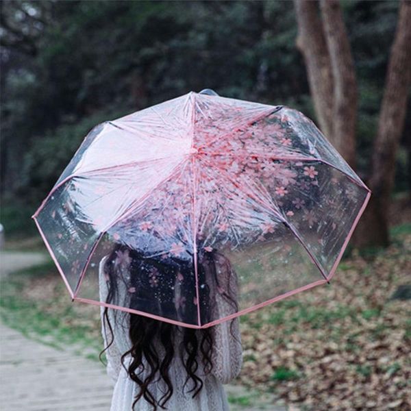 umbrellas romantic women kids transparent umbrella cherry blossom mushroom sakura 3 folding sunshade clear rain
umbrellas romantic women kids transparent umbrella cherry blossom mushroom sakura 3 folding sunshade clear rain