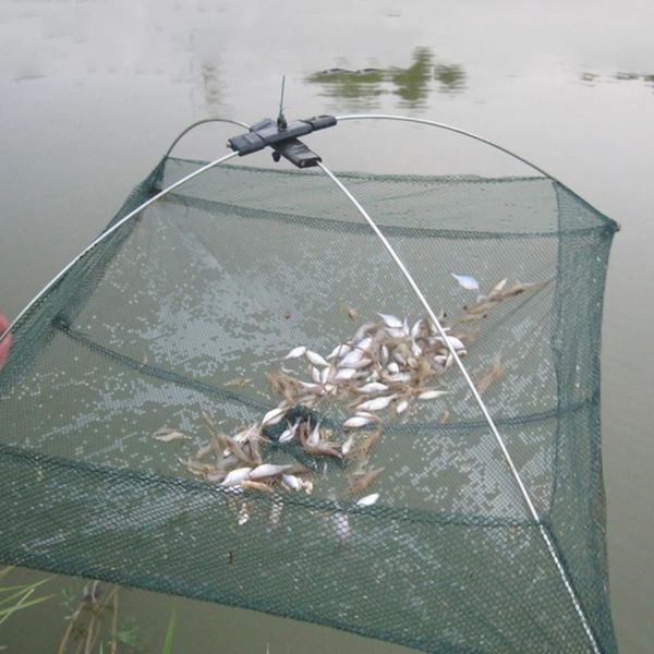 fishing accessories 60x60cm square portable fish net shrimp and crab small tools outdoor parent-child activities
fishing accessories 60x60cm square portable fish net shrimp and crab small tools outdoor parent-child activities