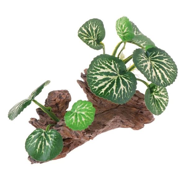 decorations aquatic plant green leaves dead wood fish tank decoration mini aquarium ornament
decorations aquatic plant green leaves dead wood fish tank decoration mini aquarium ornament