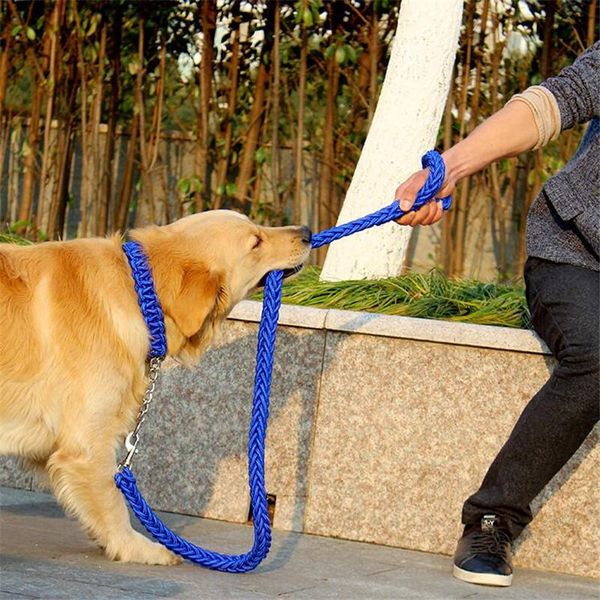 1.2m length double strand rope large dog leashes metal p chain buckle national color pet traction collar set a04 collars &
1.2m length double strand rope large dog leashes metal p chain buckle national color pet traction collar set a04 collars &