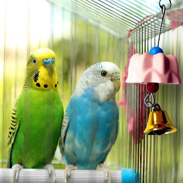 other bird supplies parrot teeth grinding toys squirrel calcium stone chewing bell flower shape drop ship
other bird supplies parrot teeth grinding toys squirrel calcium stone chewing bell flower shape drop ship