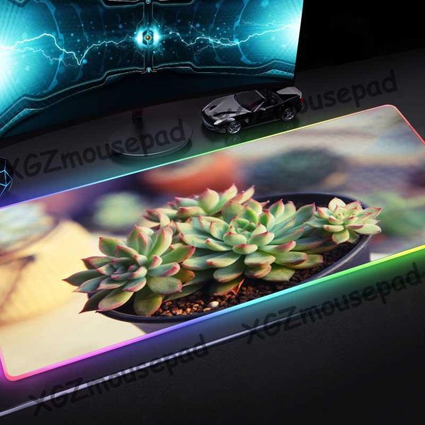 mouse pads & wrist rests xgz cute succulent plant pattern custom large rgb pad black lock edge computer keyboard desk mat speed rubber non-s
mouse pads & wrist rests xgz cute succulent plant pattern custom large rgb pad black lock edge computer keyboard desk mat speed rubber non-s